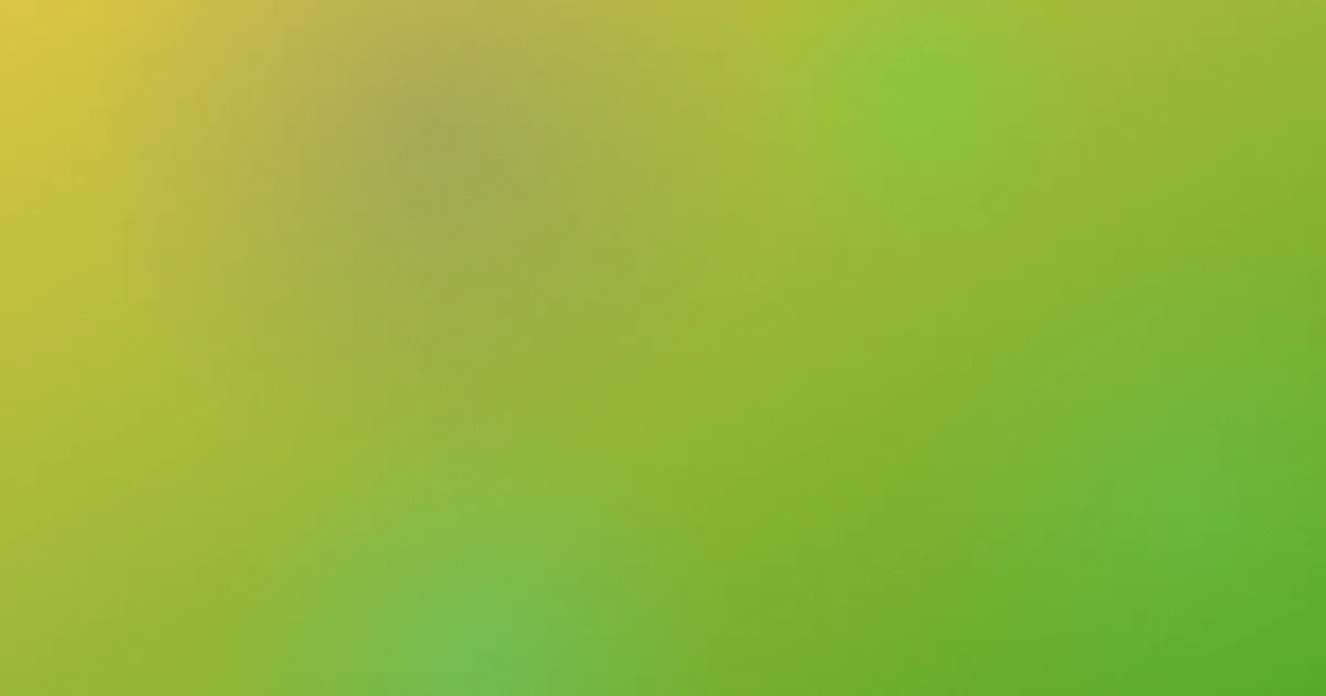看看黄色录像测评：避坑版